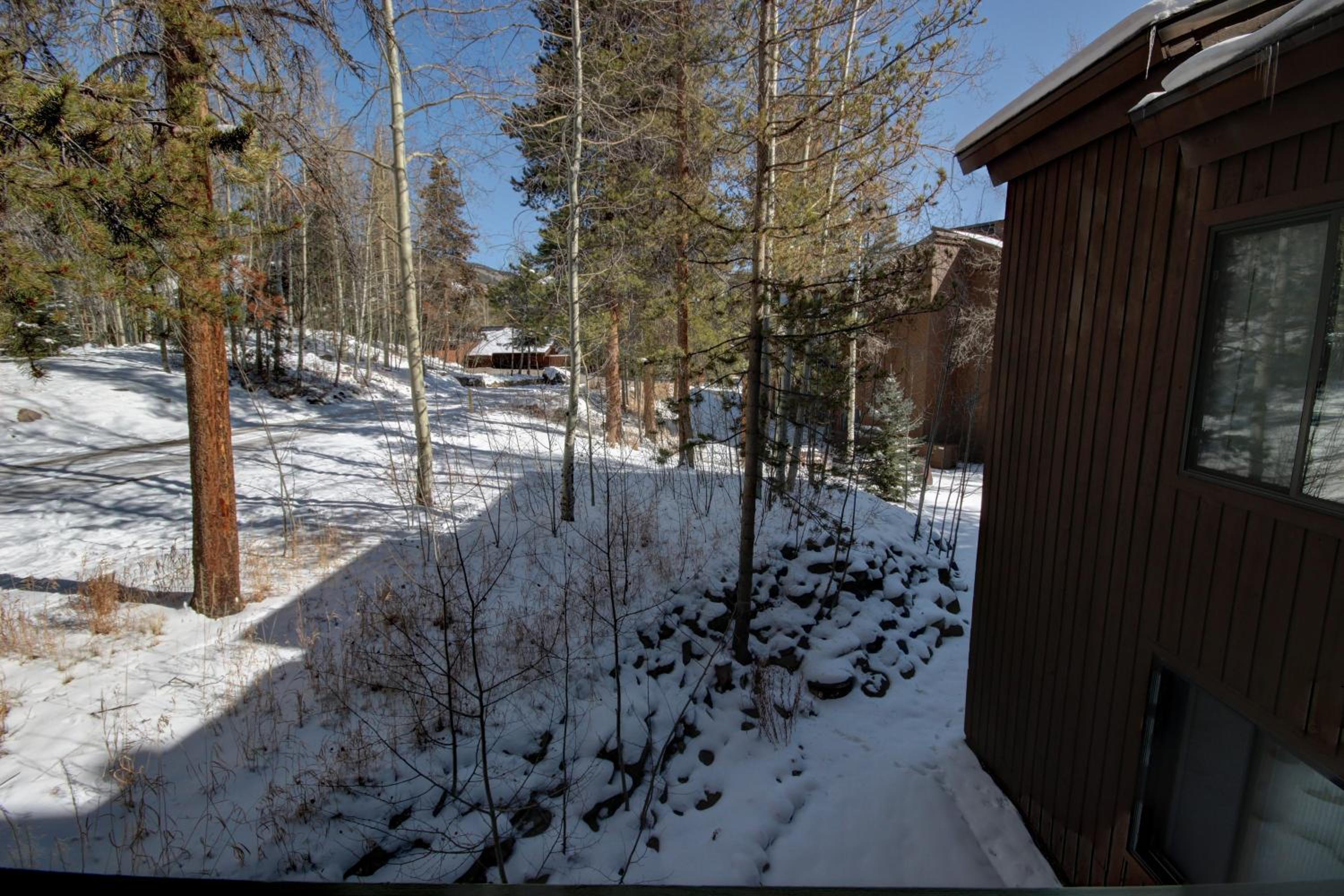 Wild Irishman 1059 by SummitCove Lodging