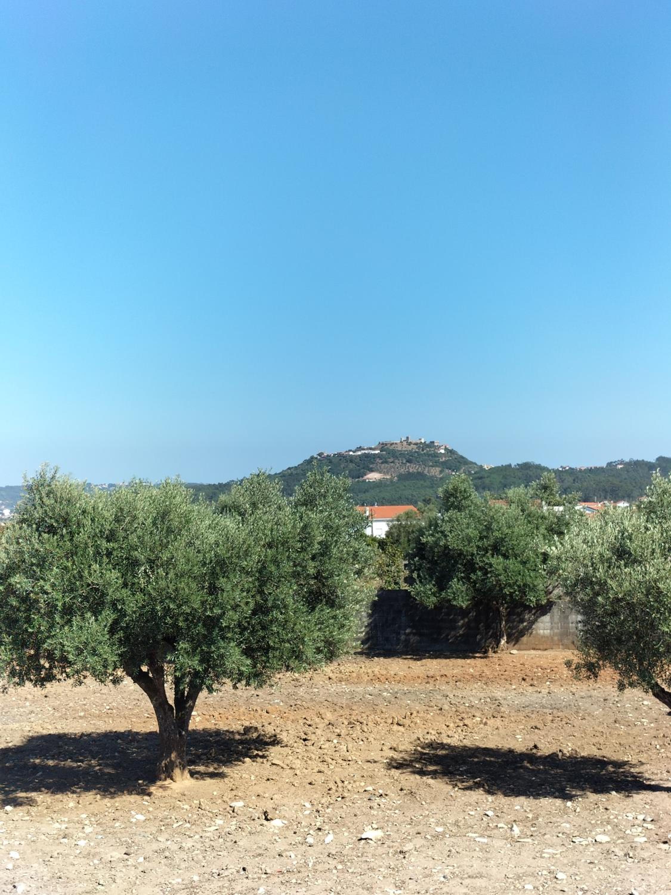 Appartamento in casa tranquilla Fatima view 4