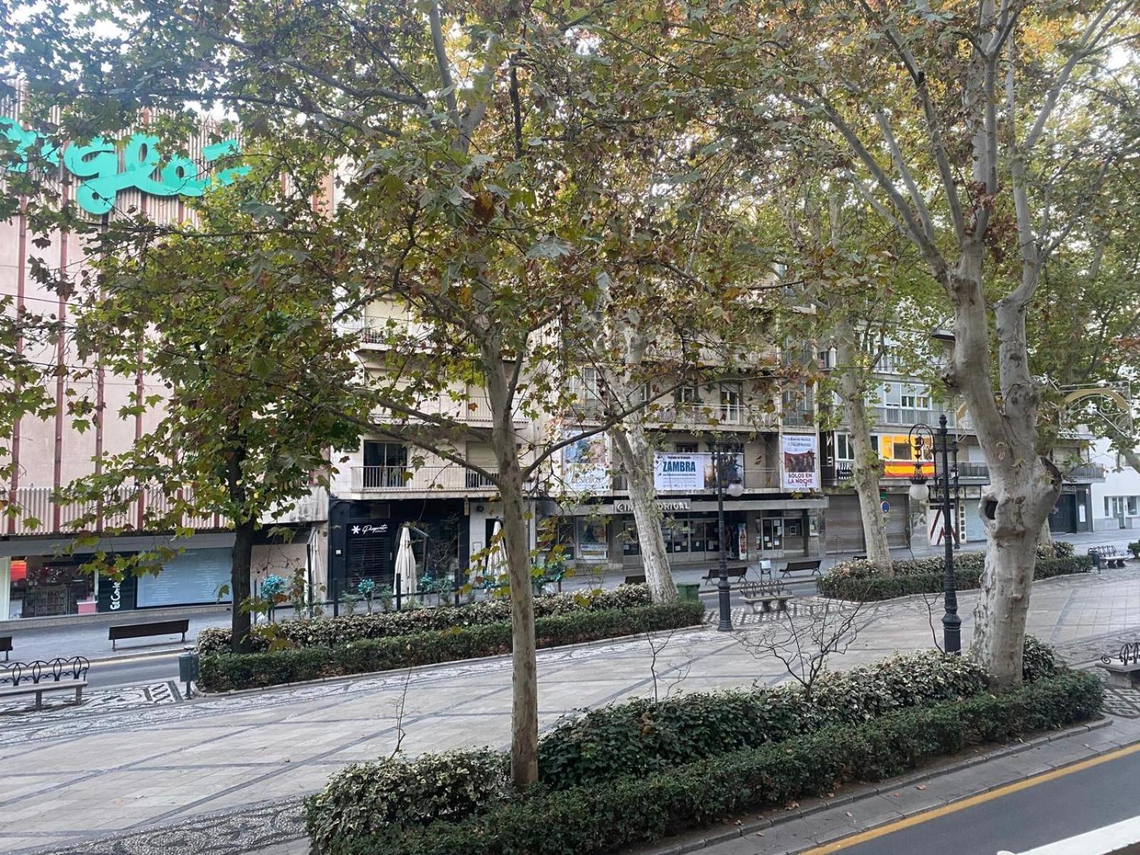 La Carrera 5 photo 2