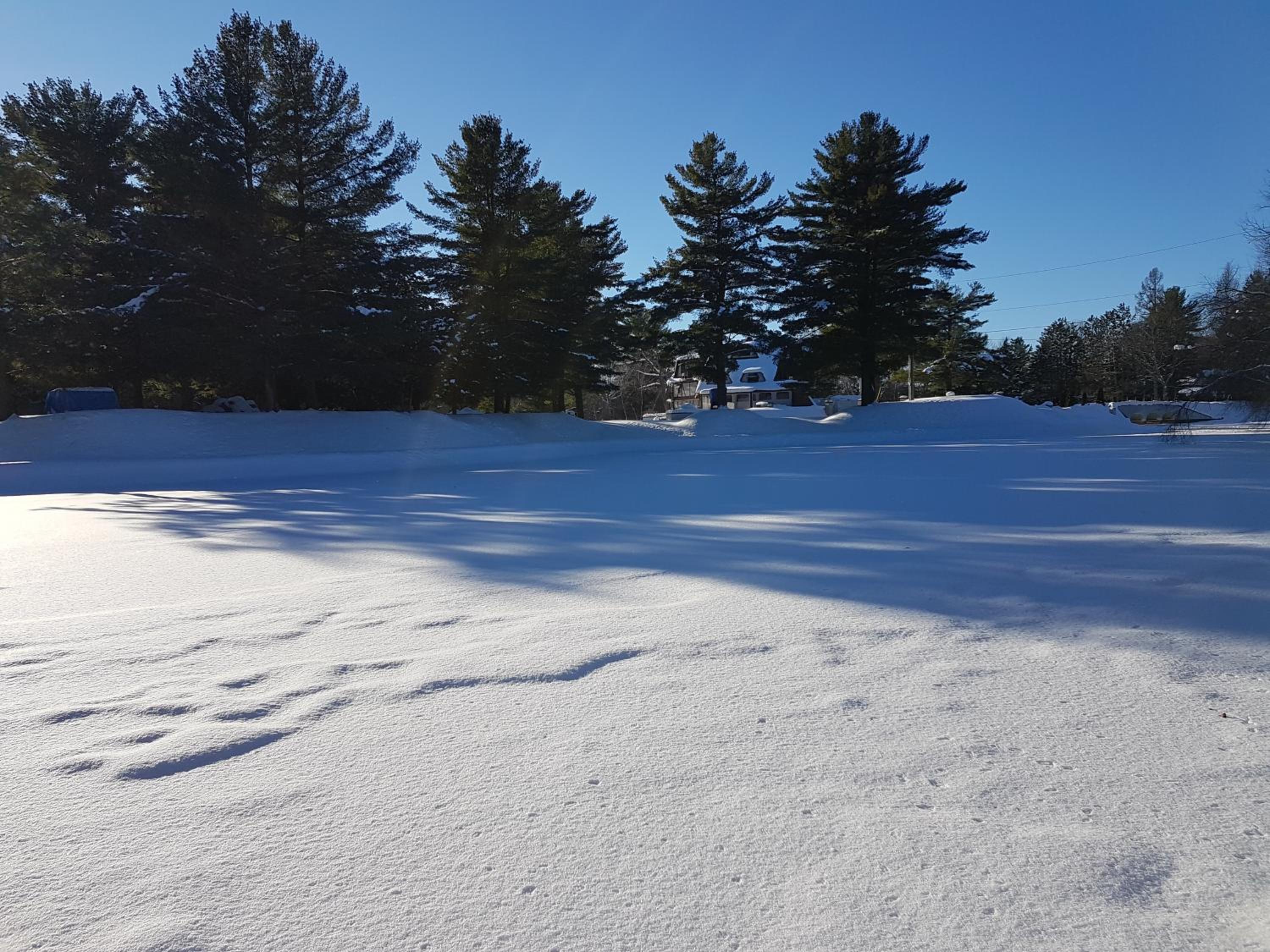 Trois-rivieres Vacations - L'Ile Enchantee - Property Image 6