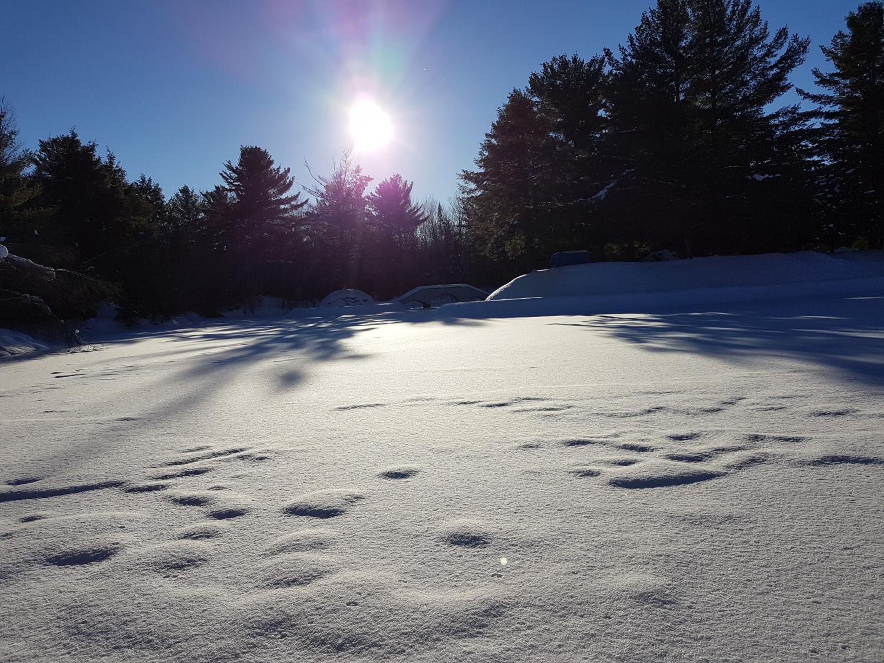 Trois-rivieres Vacations - L'Ile Enchantee - Property Image 7