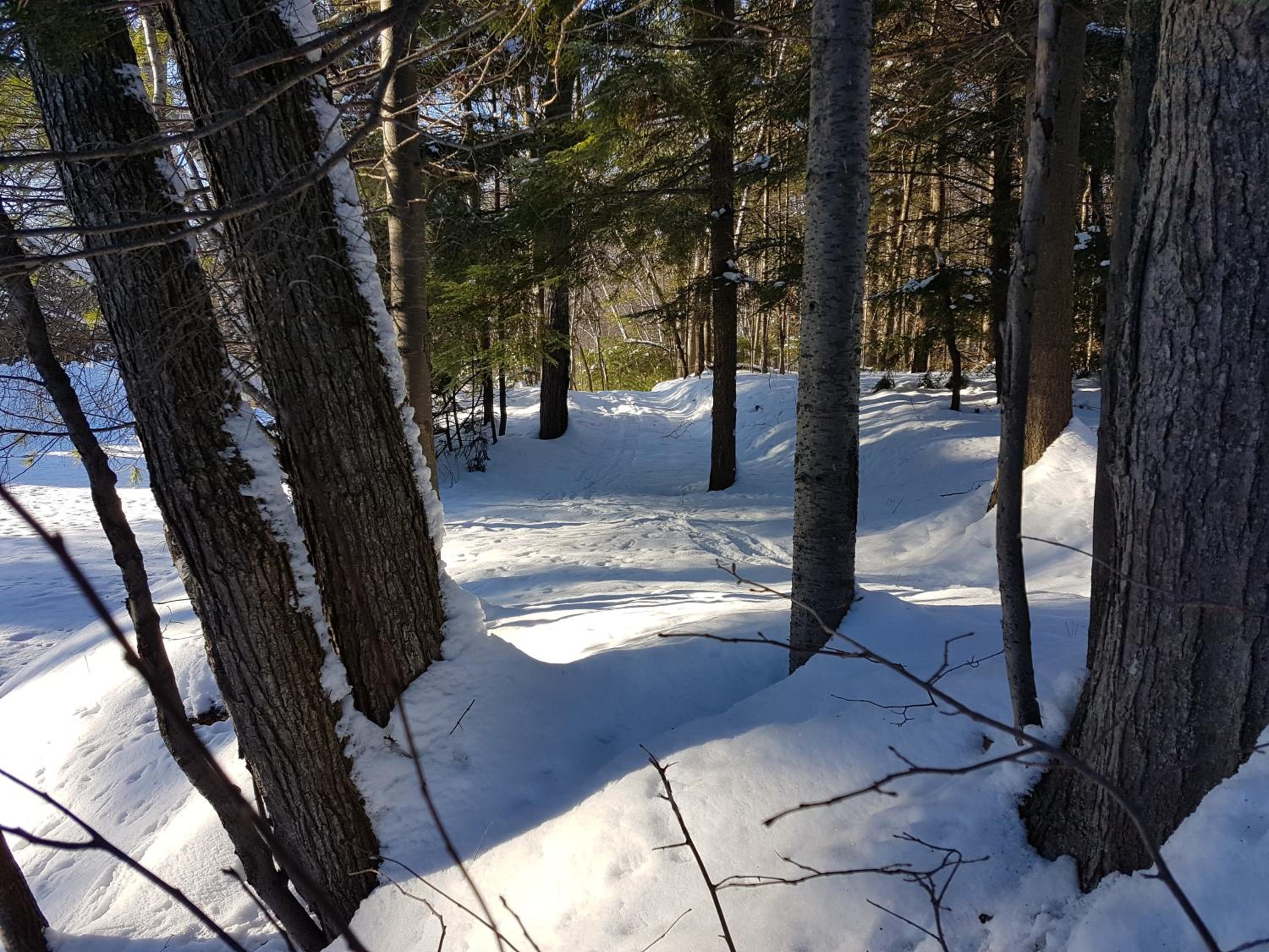 Trois-rivieres Vacations - L'Ile Enchantee - Property Image 3