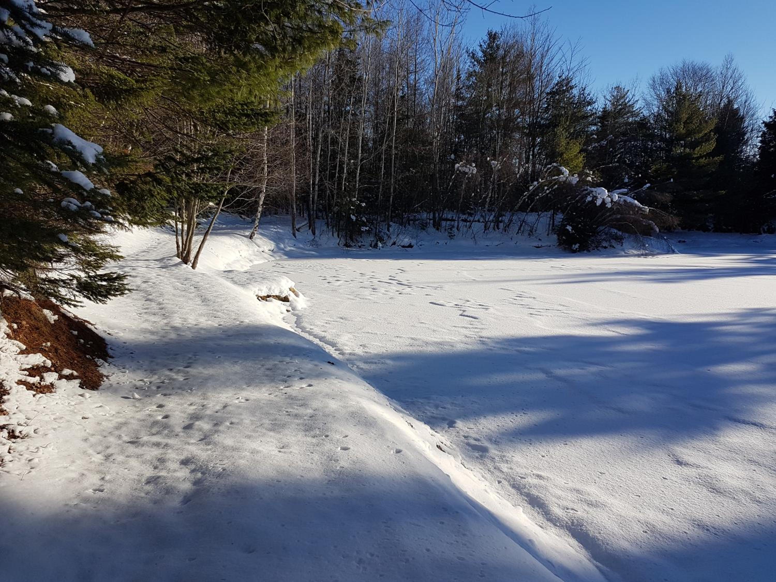 Trois-rivieres Vacations - L'Ile Enchantee - Property Image 2