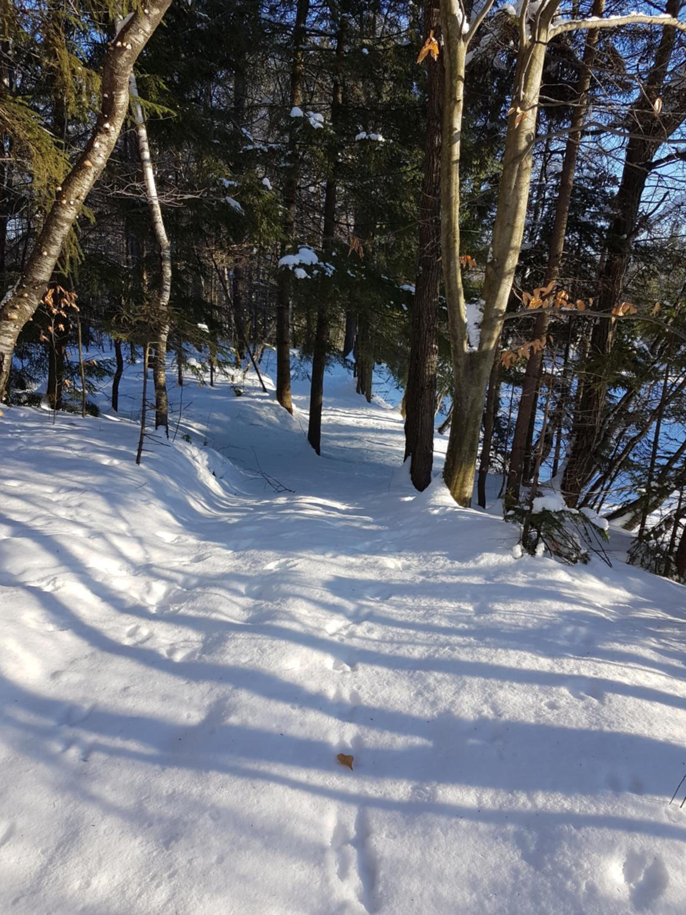 Trois-rivieres Vacations - L'Ile Enchantee - Property Image 16