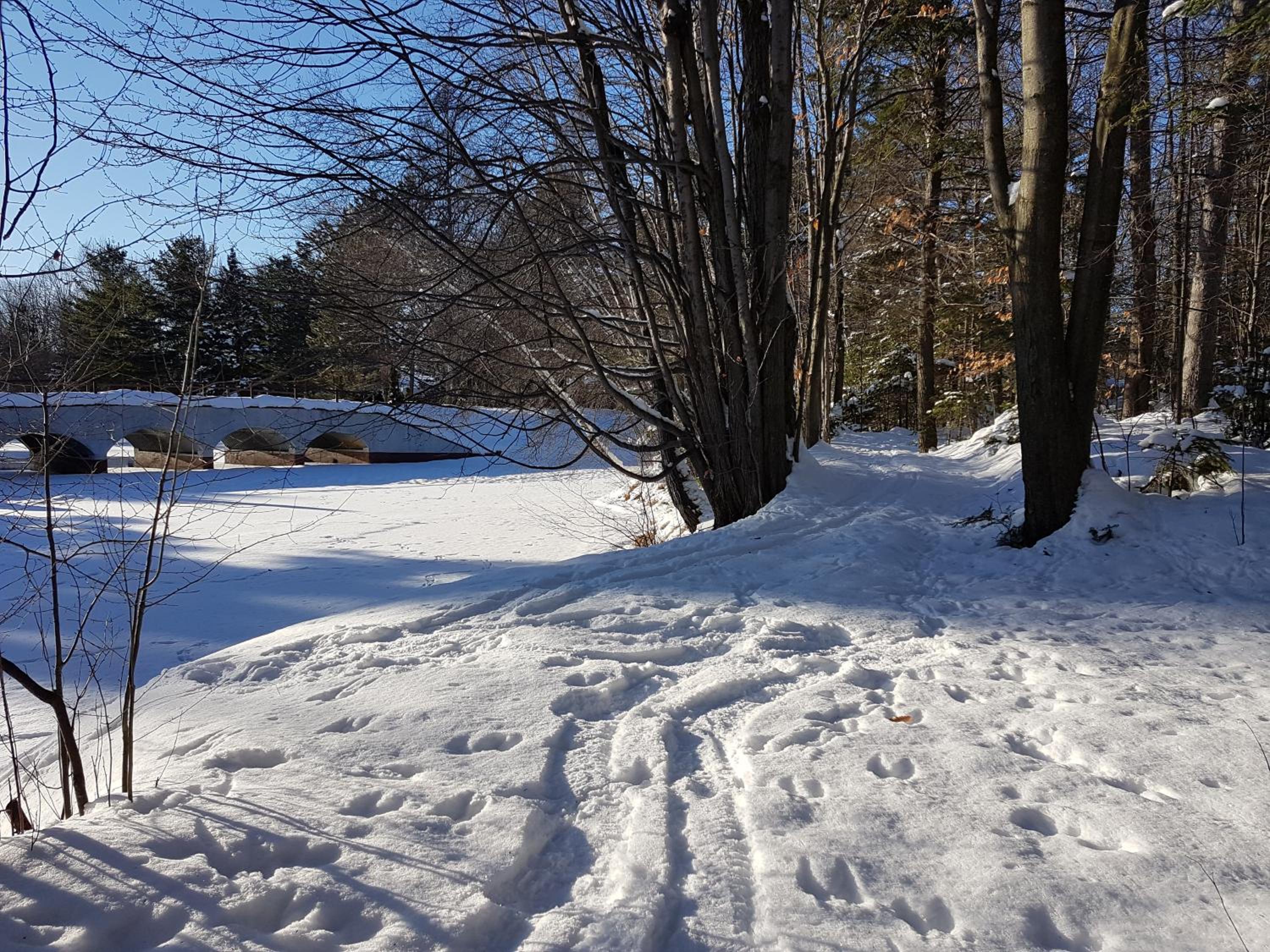 Trois-rivieres Vacations - L'Ile Enchantee - Property Image 57