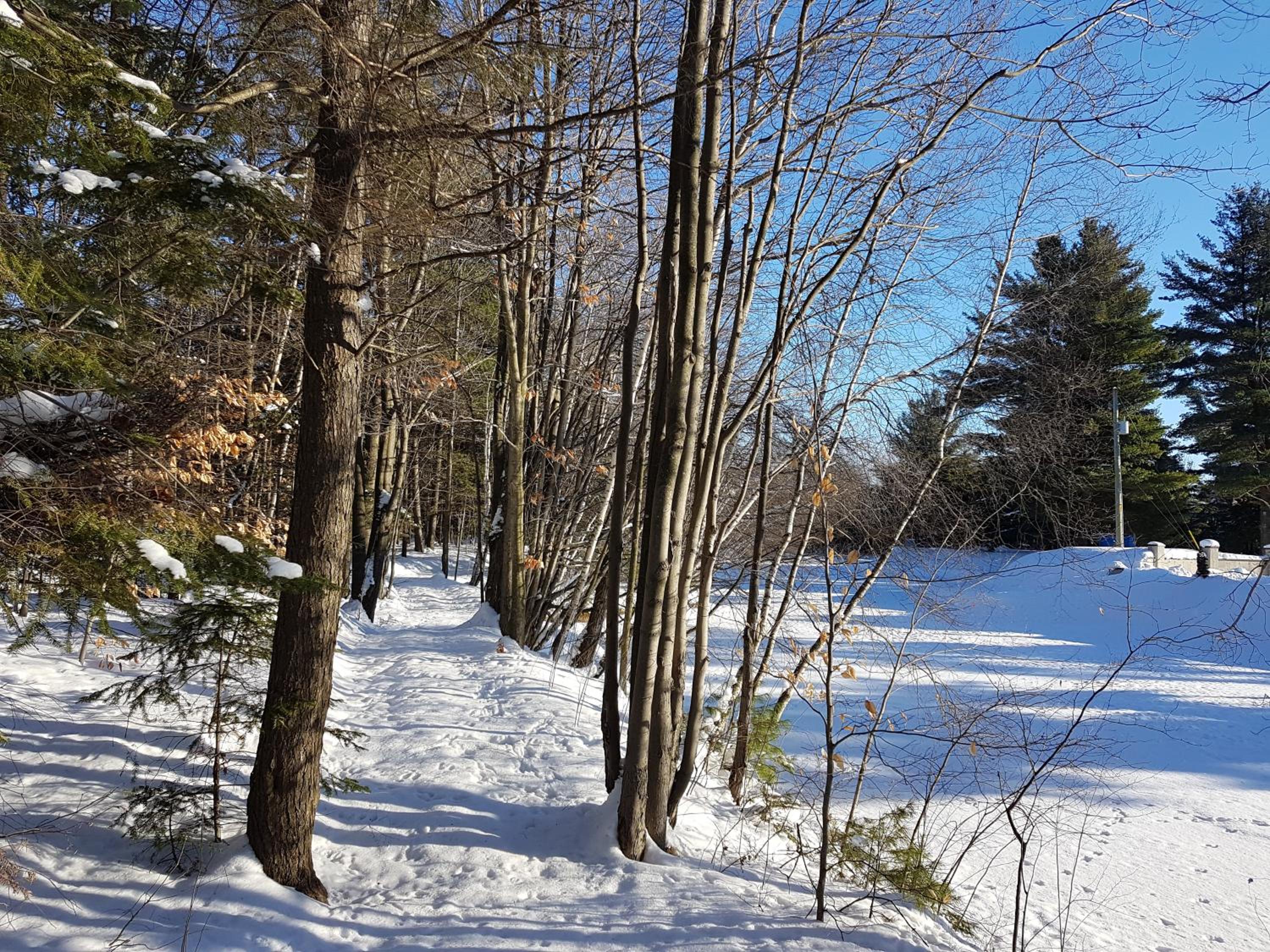 Trois-rivieres Vacations - L'Ile Enchantee - Property Image 56