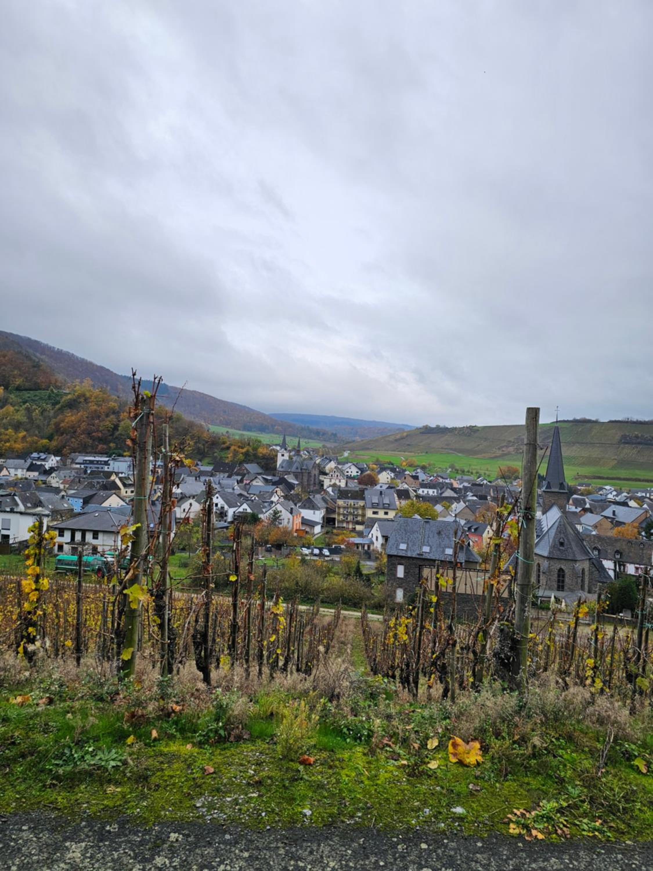 Ferienhaus der Saison