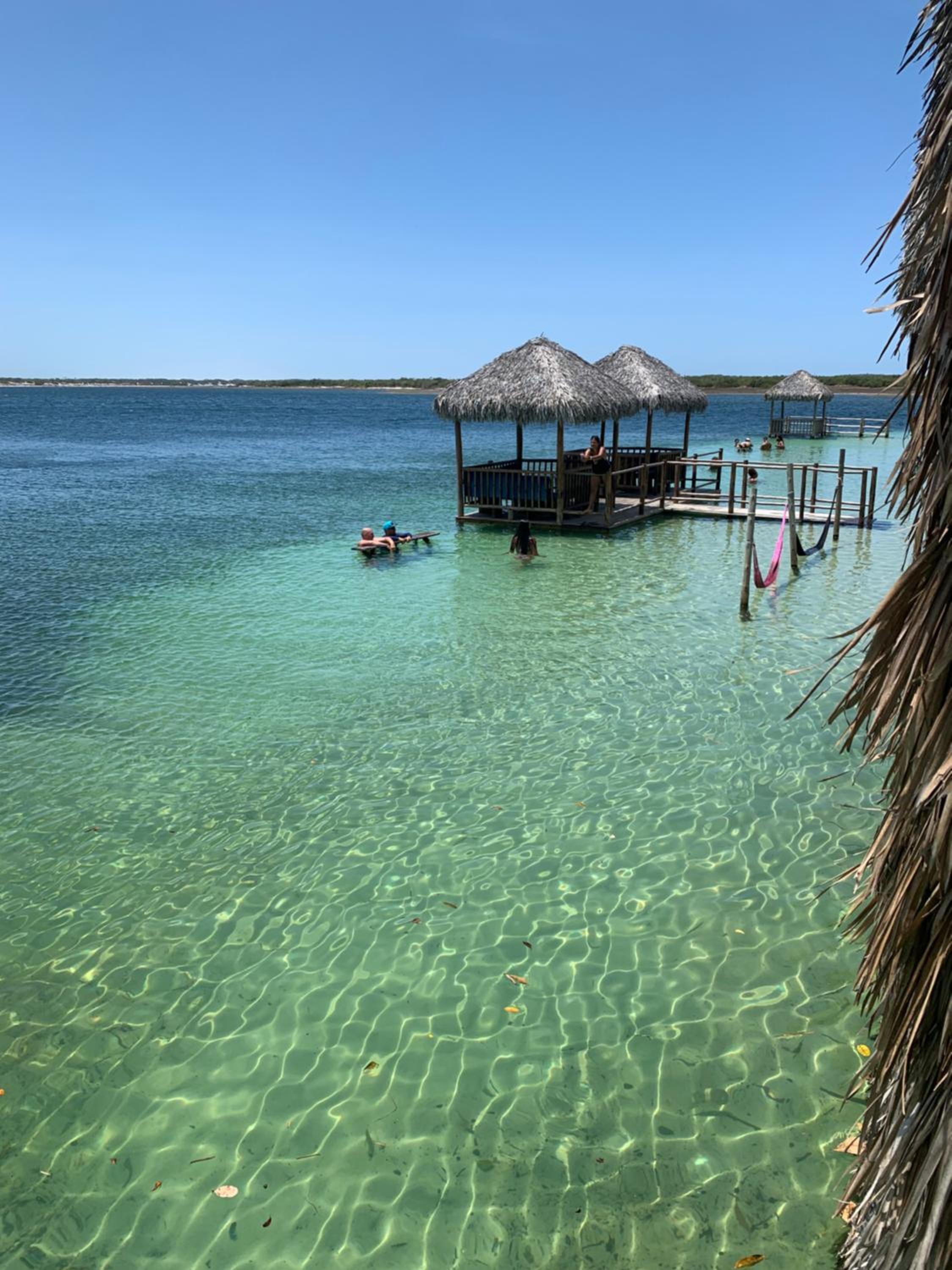 Canto dos passaros