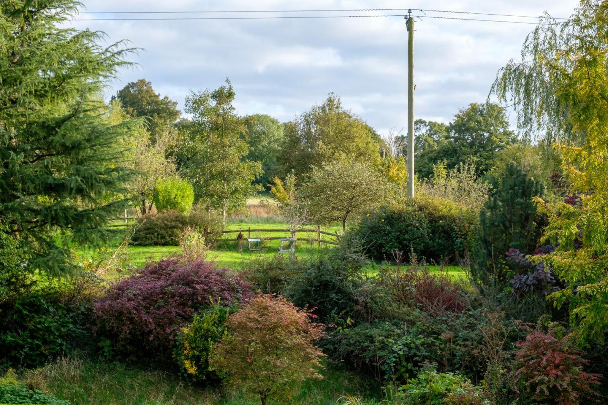 Stunning detached house near Bruton view 5