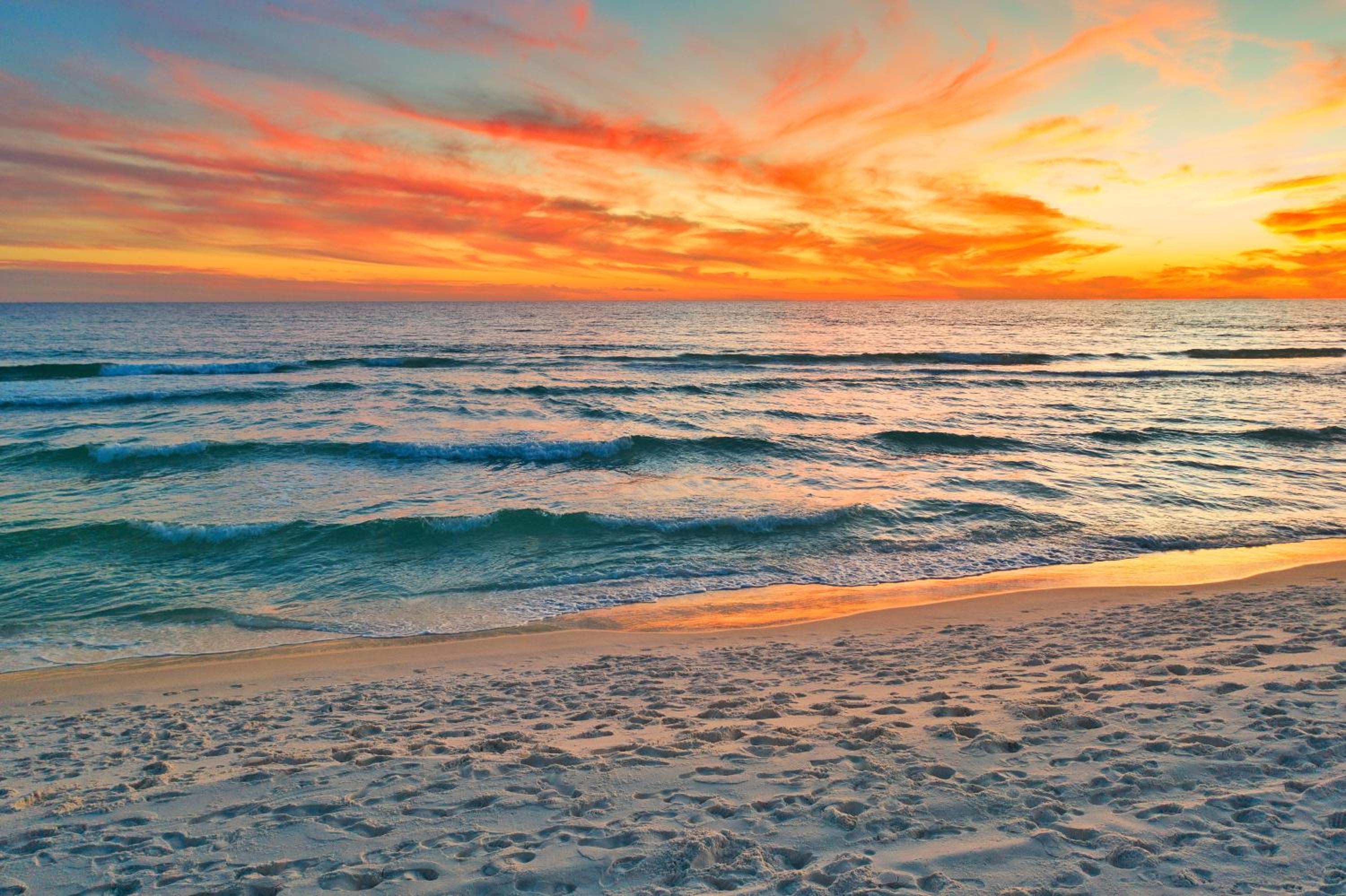 Photo 50