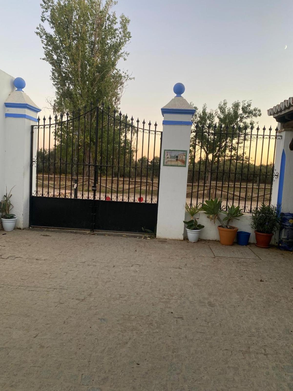 Casa en El Rocío view 4