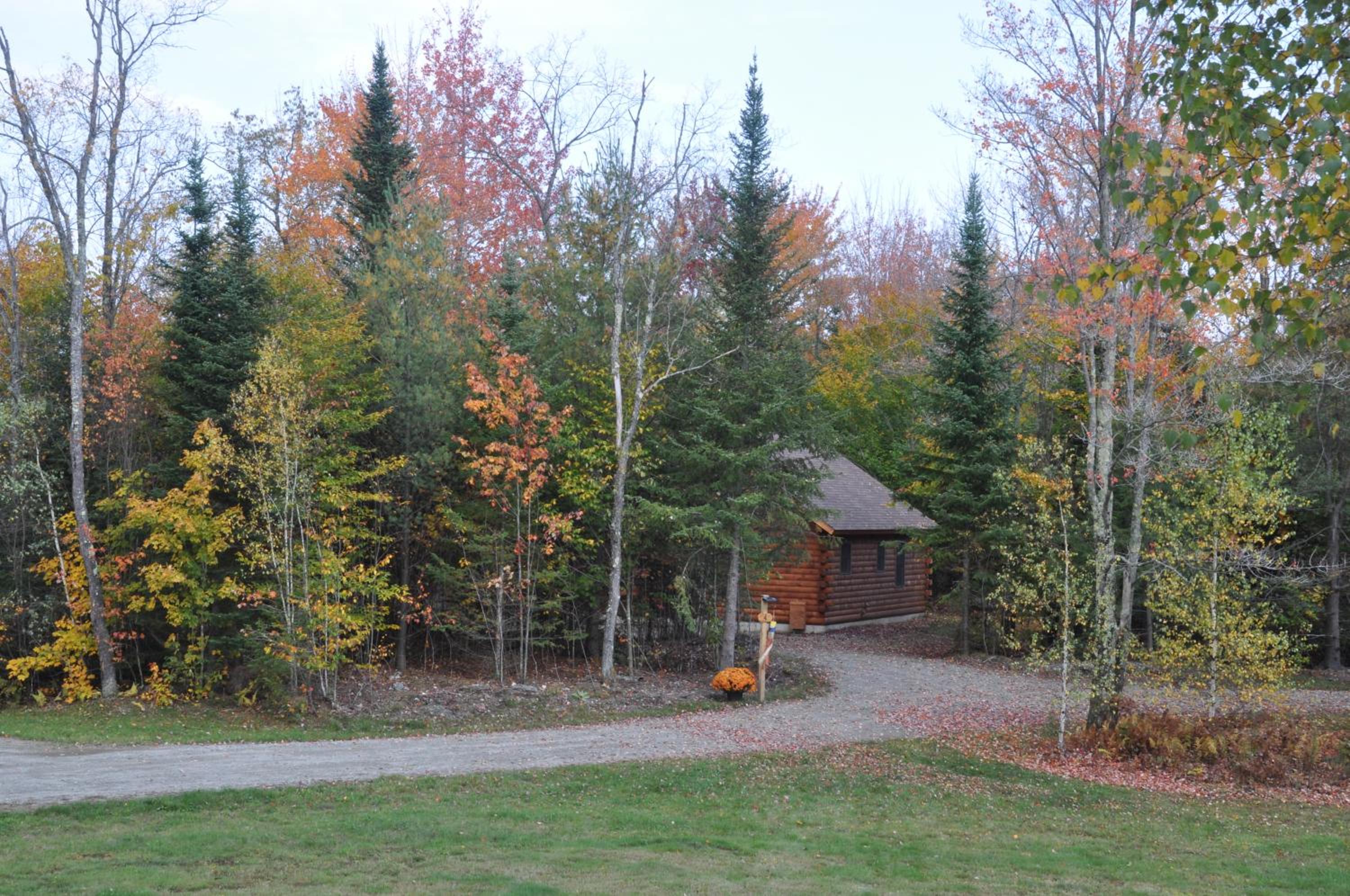 Photo 40