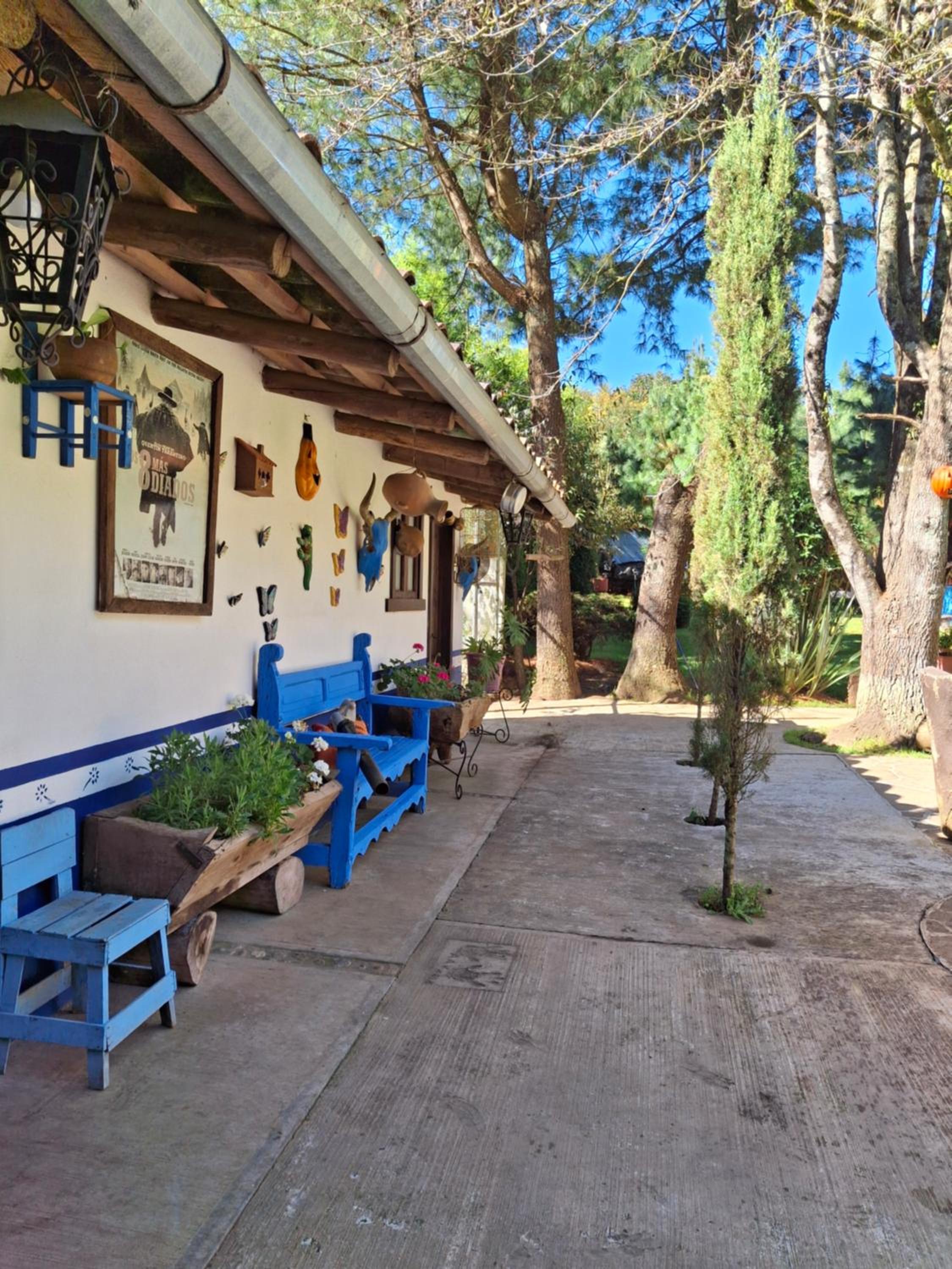 Quinta del bosque view 3