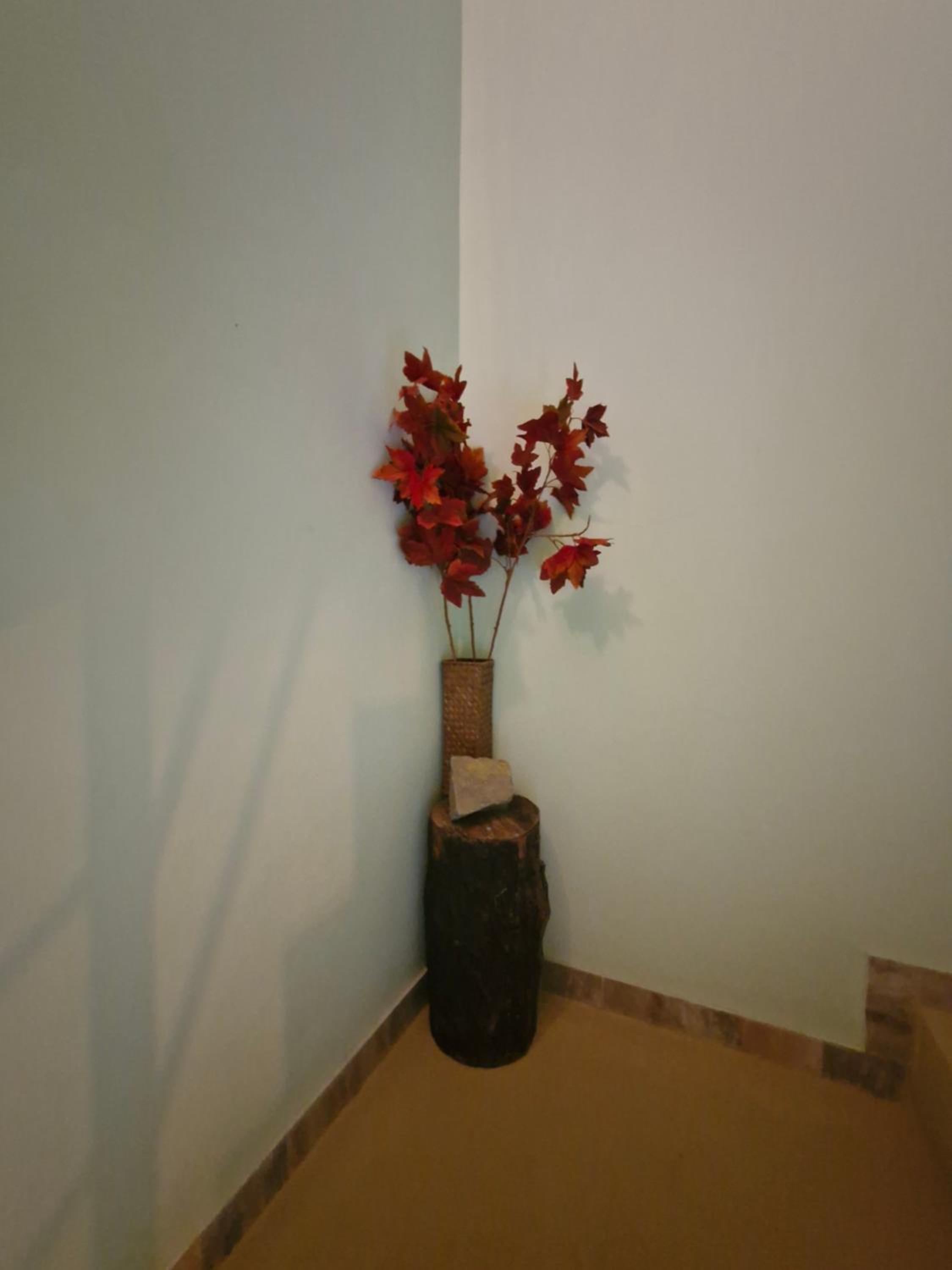 Casa Medina