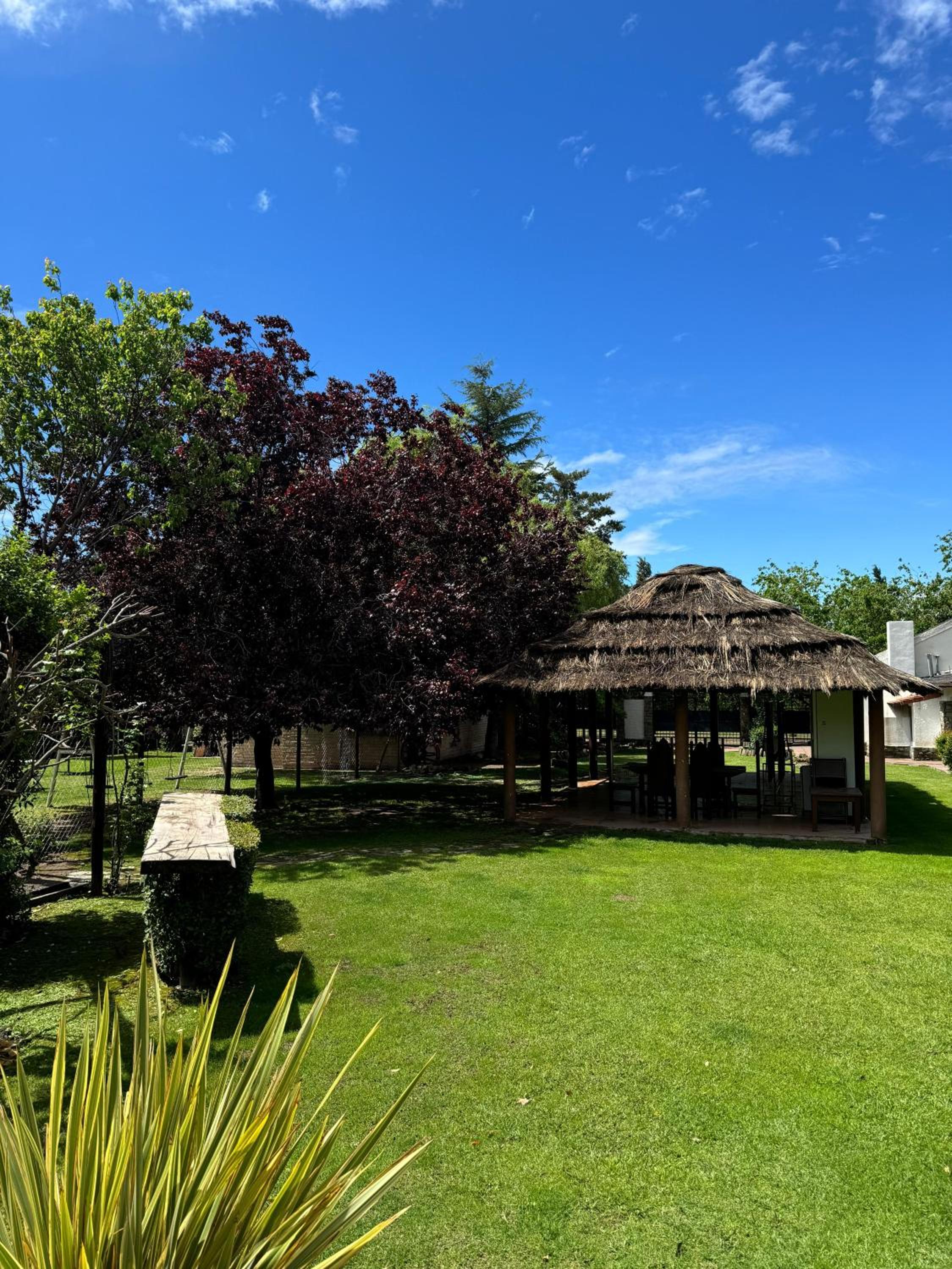 Casa cPiscina, Jardín B Privado, Wine Tour Sport