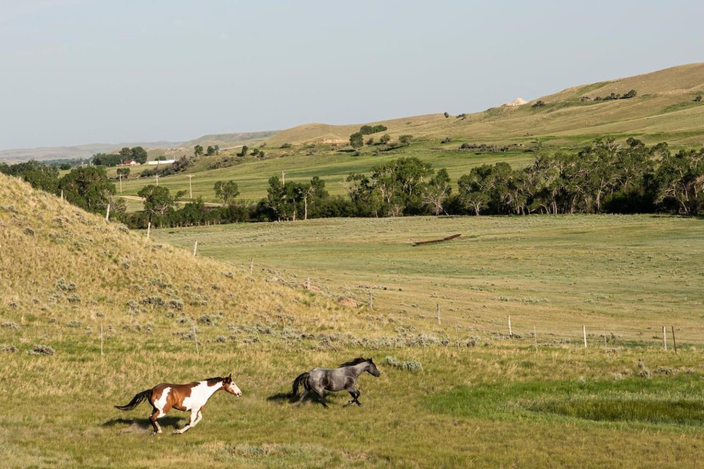 Saddlehorn Ranch
