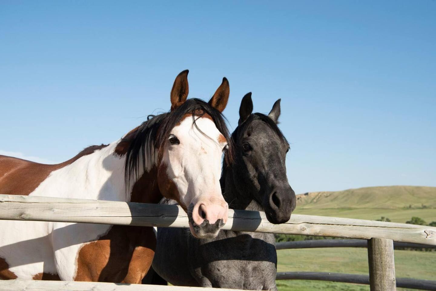 Saddlehorn Ranch