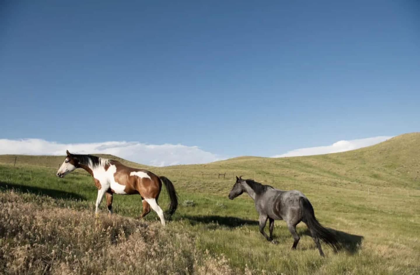 Saddlehorn Ranch
