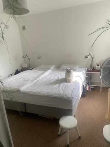 London One Bedroom Apartment in a Gated Community view 2