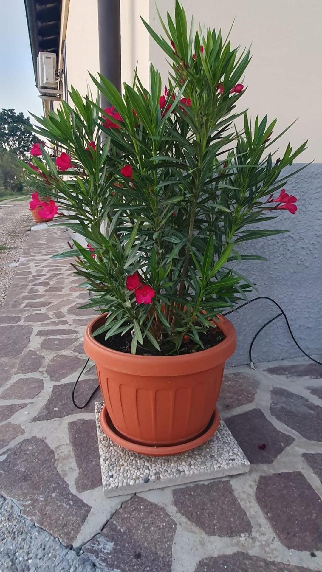 Casa Vittoria view 2