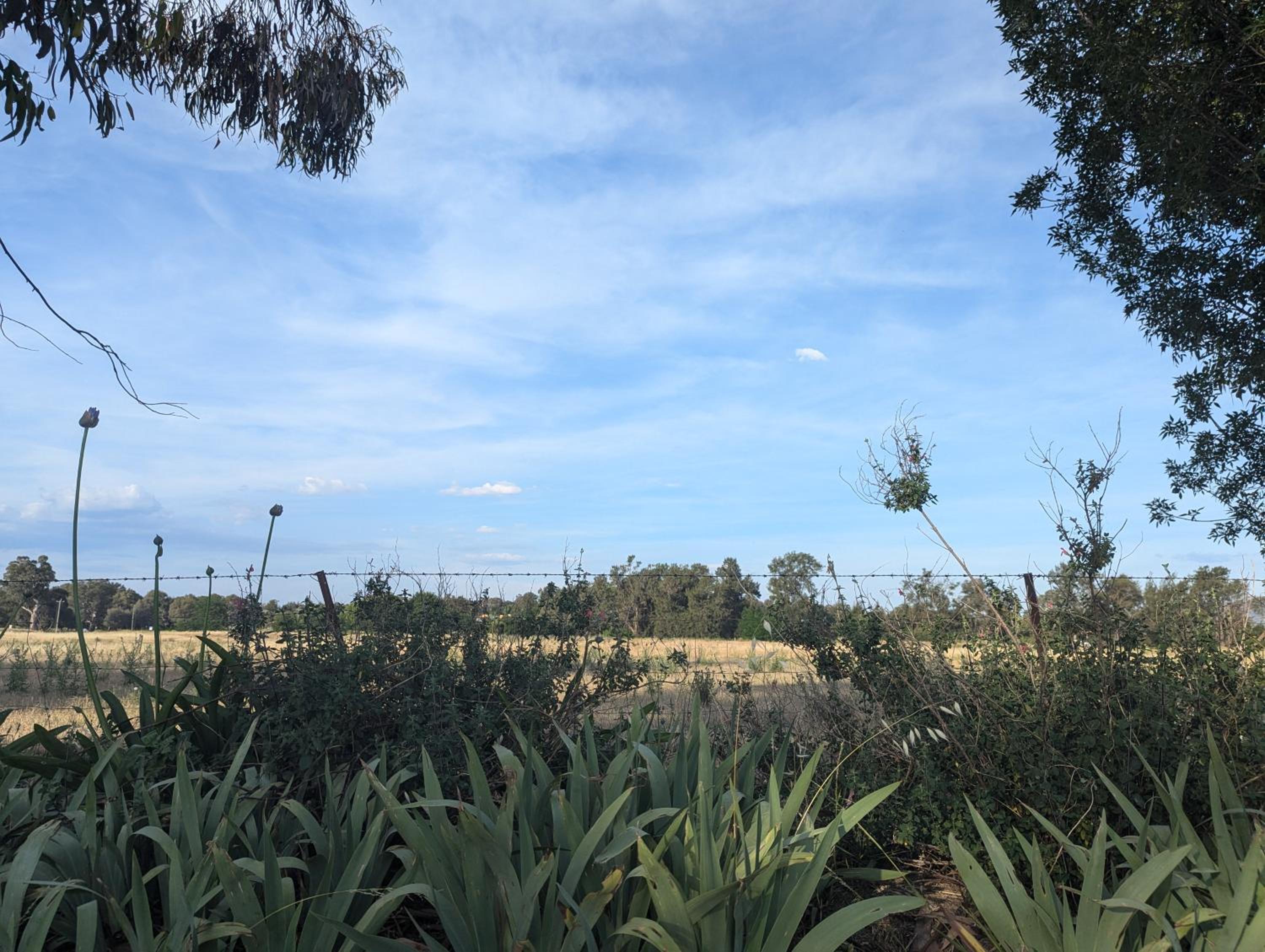 The Cudgee at Mudgee