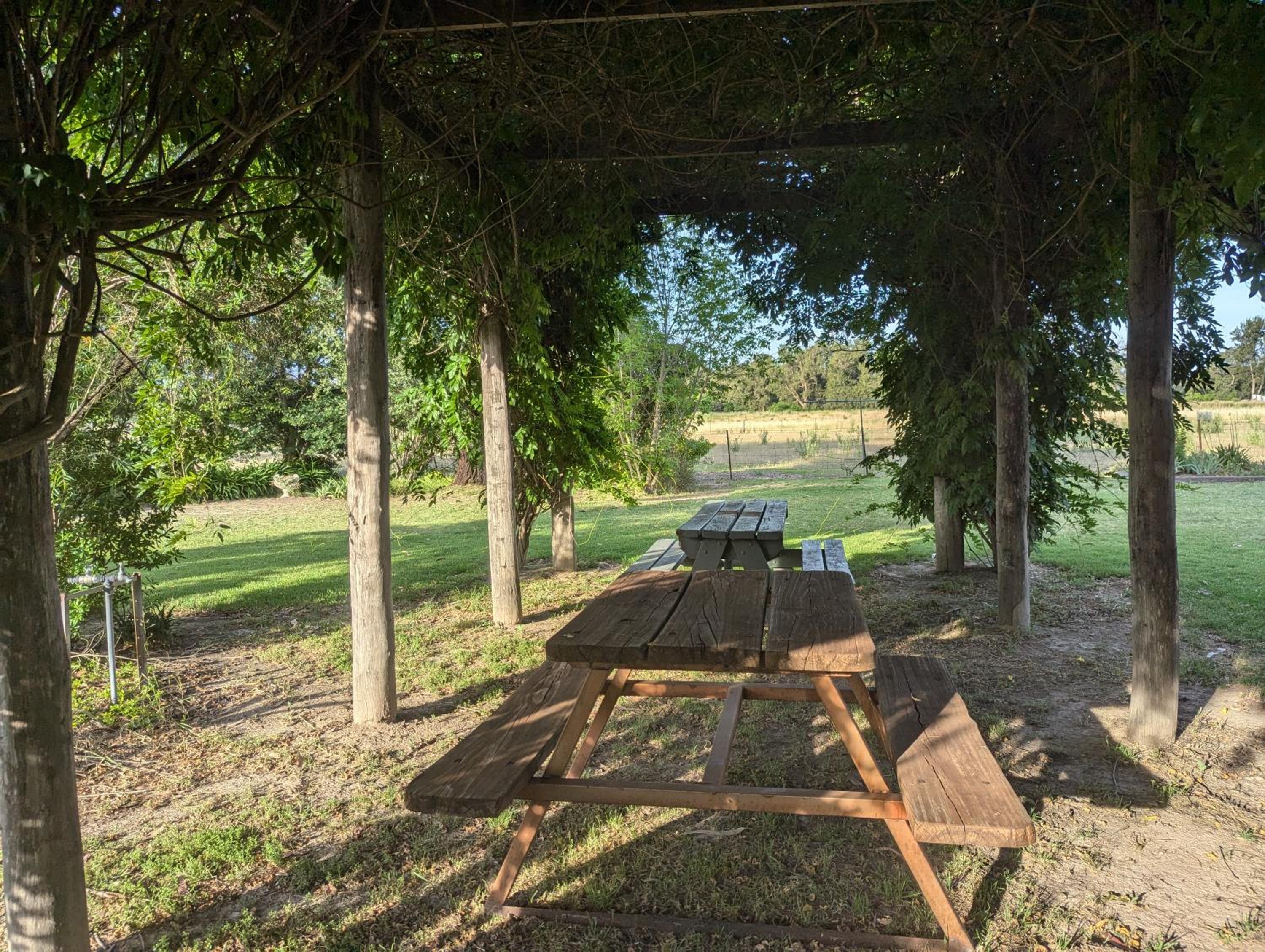 The Cudgee at Mudgee