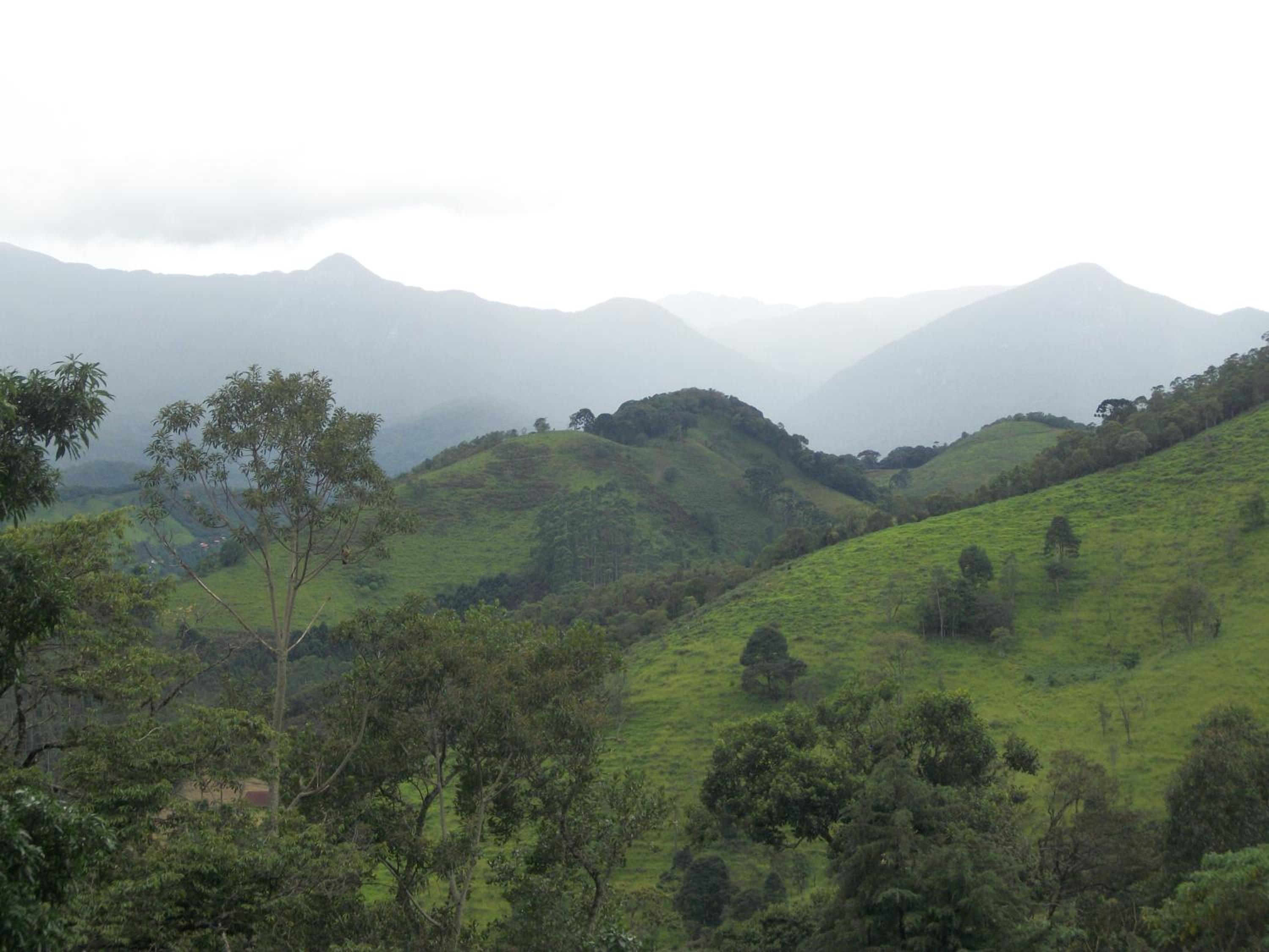 Chalés Vale Verde
