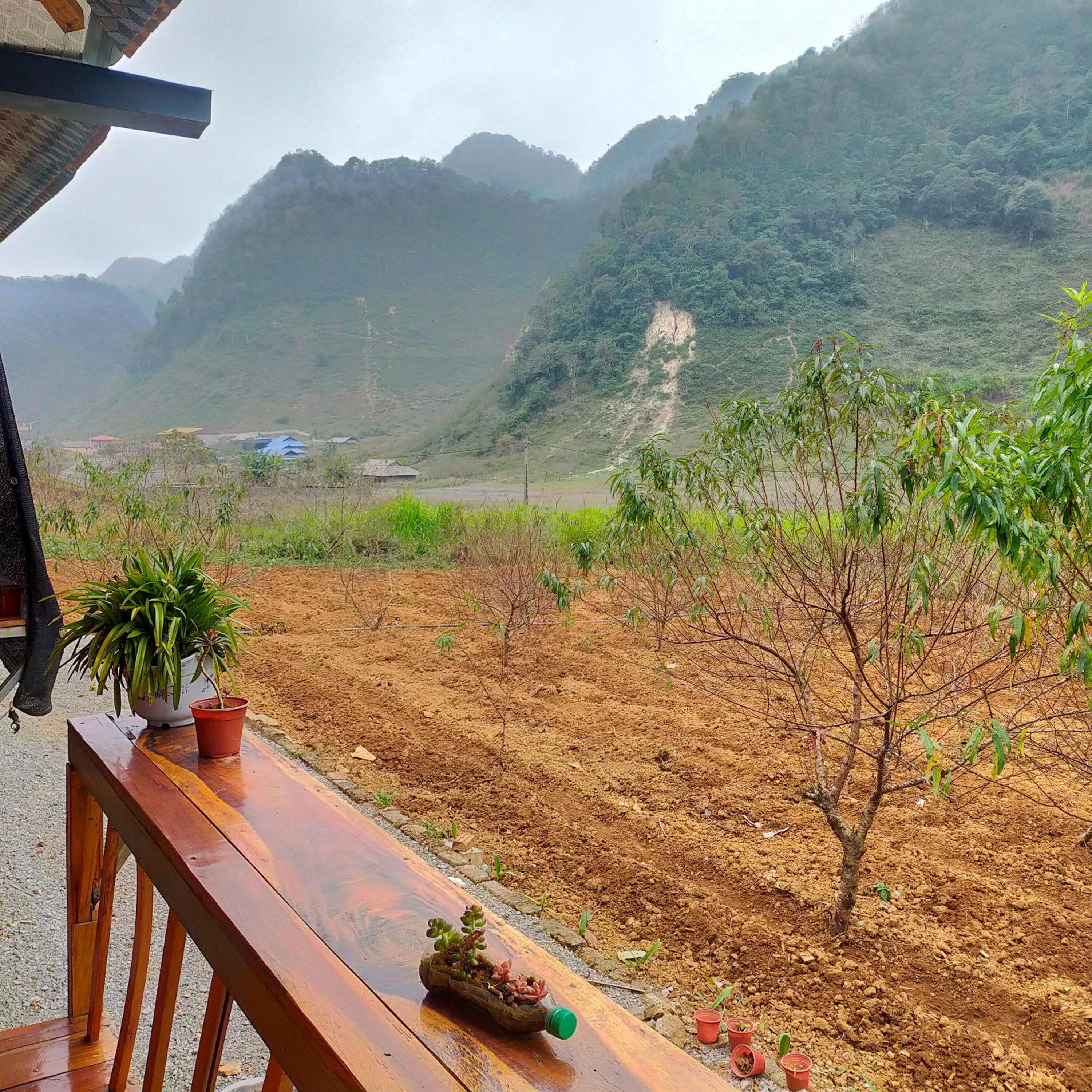 A Thống Homestay view 4