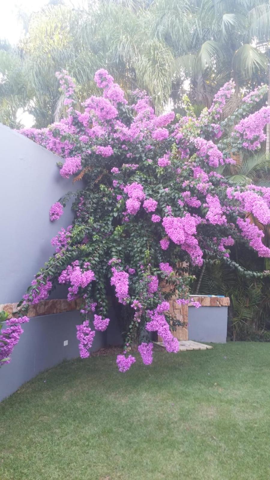 Casa de Praia em Condomínio no Guarujá