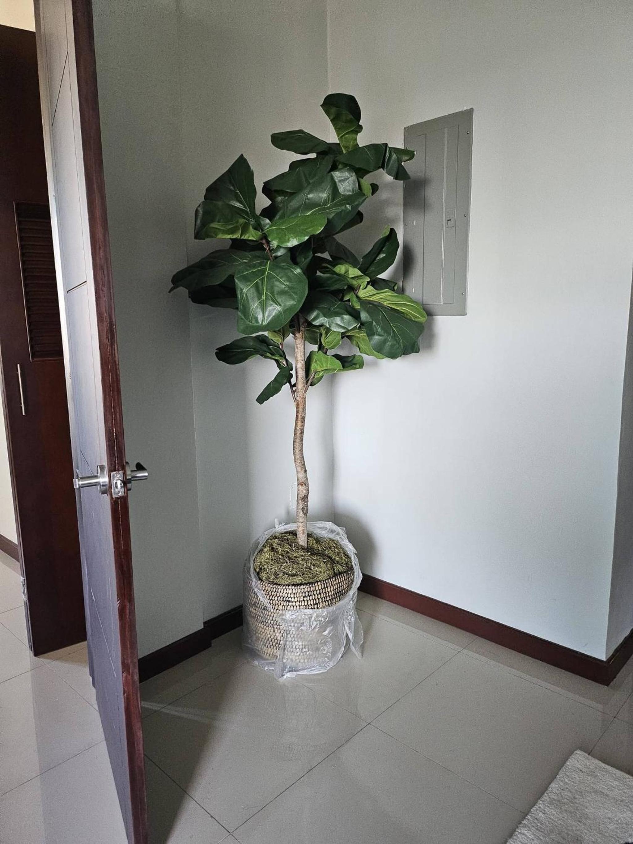 Photo 19