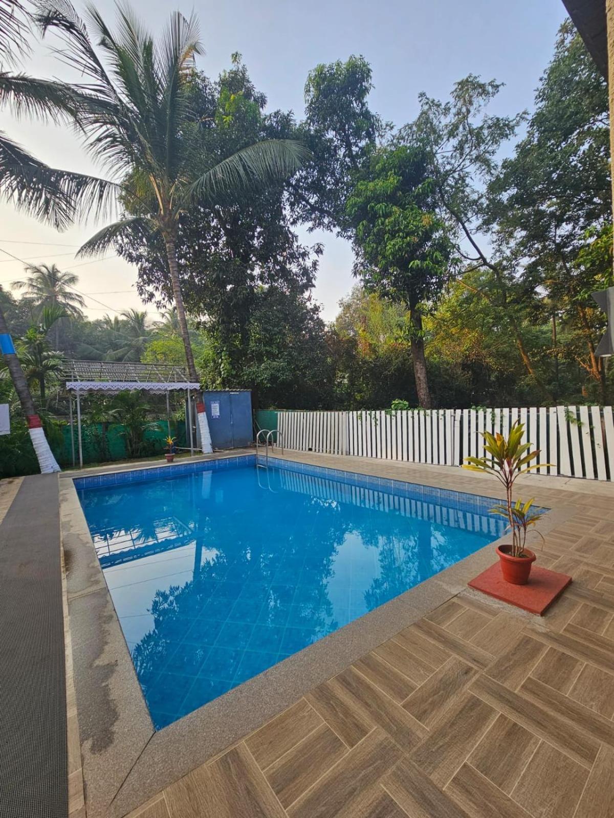 Palm Paradise view 2
