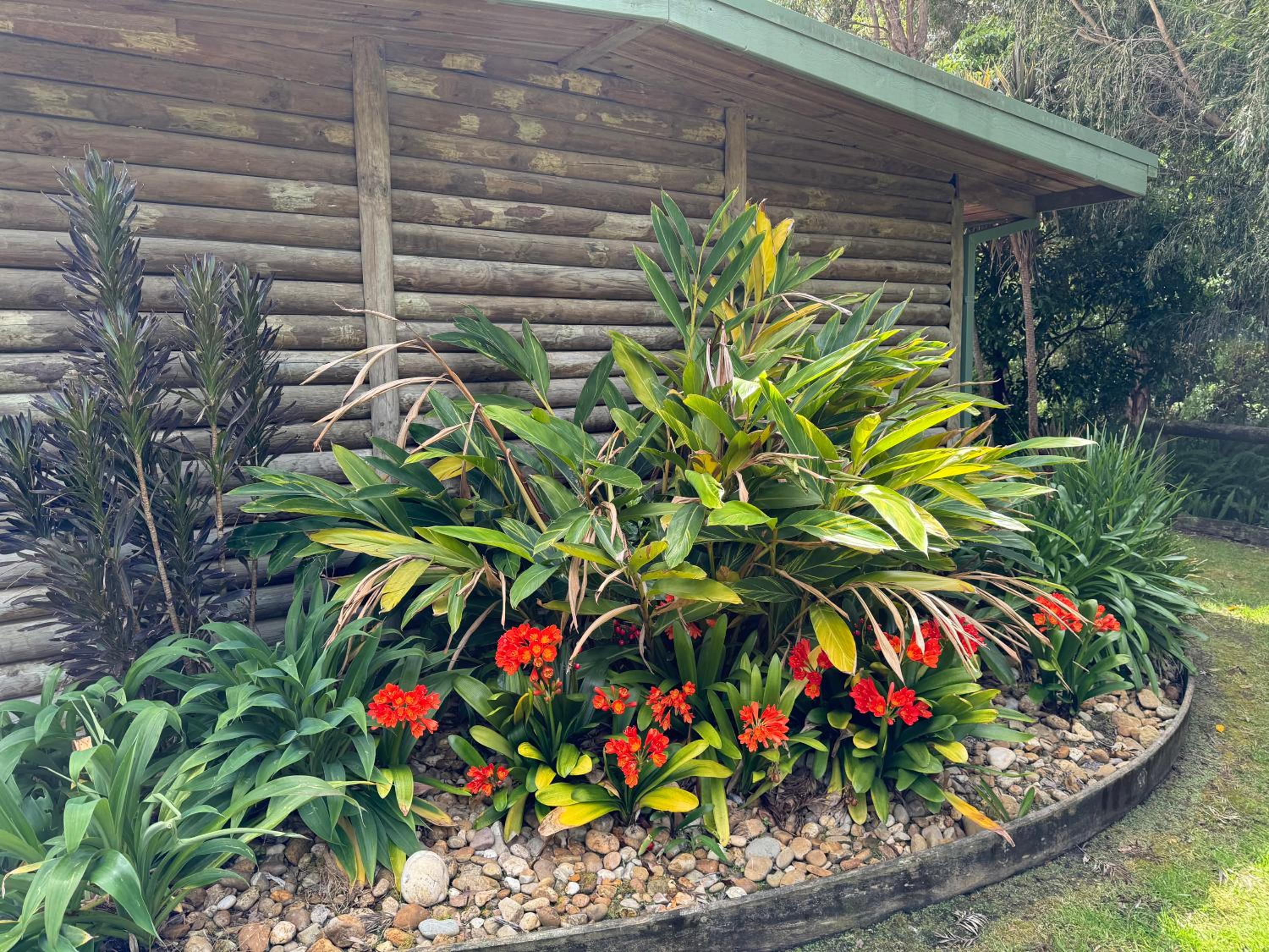 Mallacoota Log cabins view 2