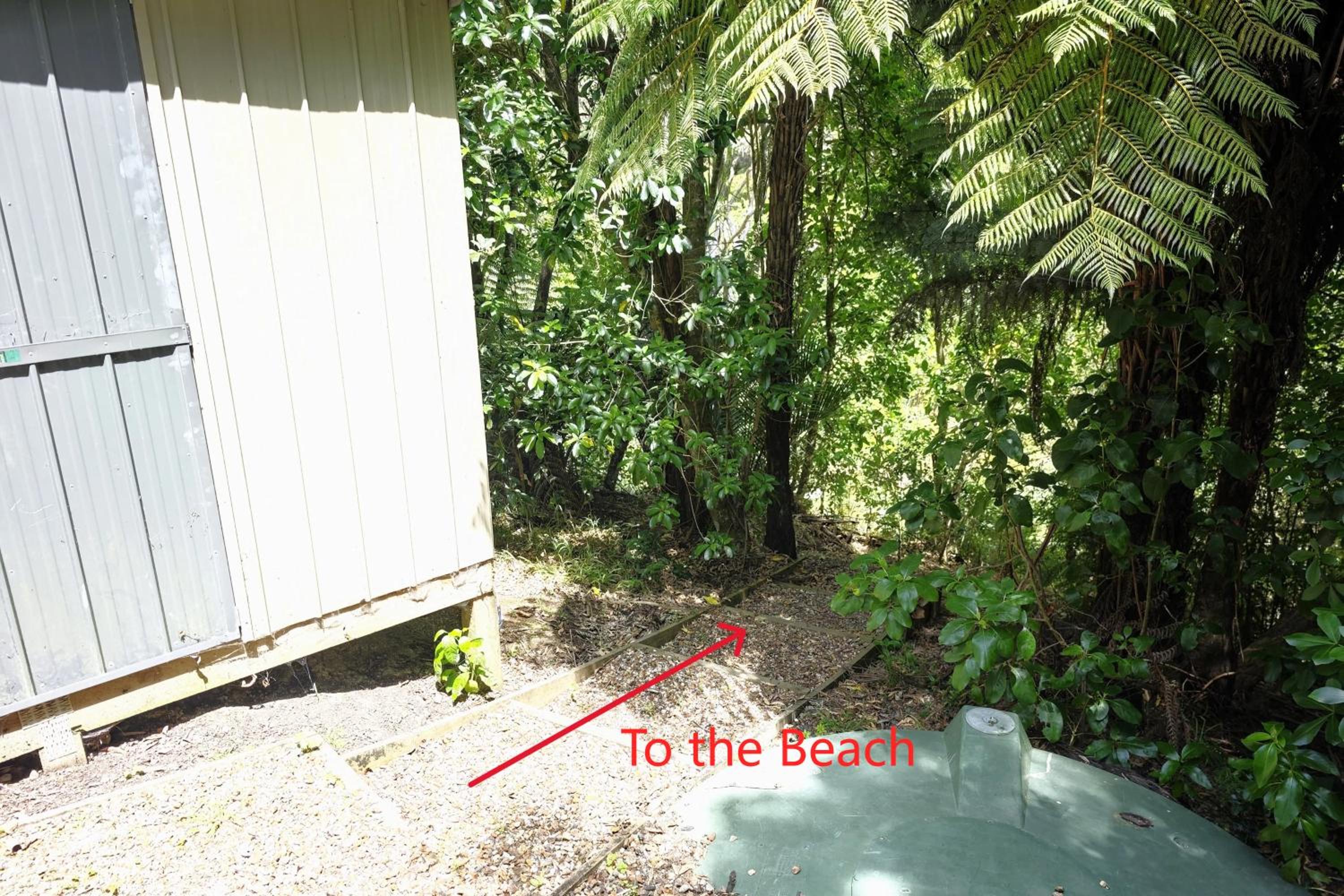 Photo 45