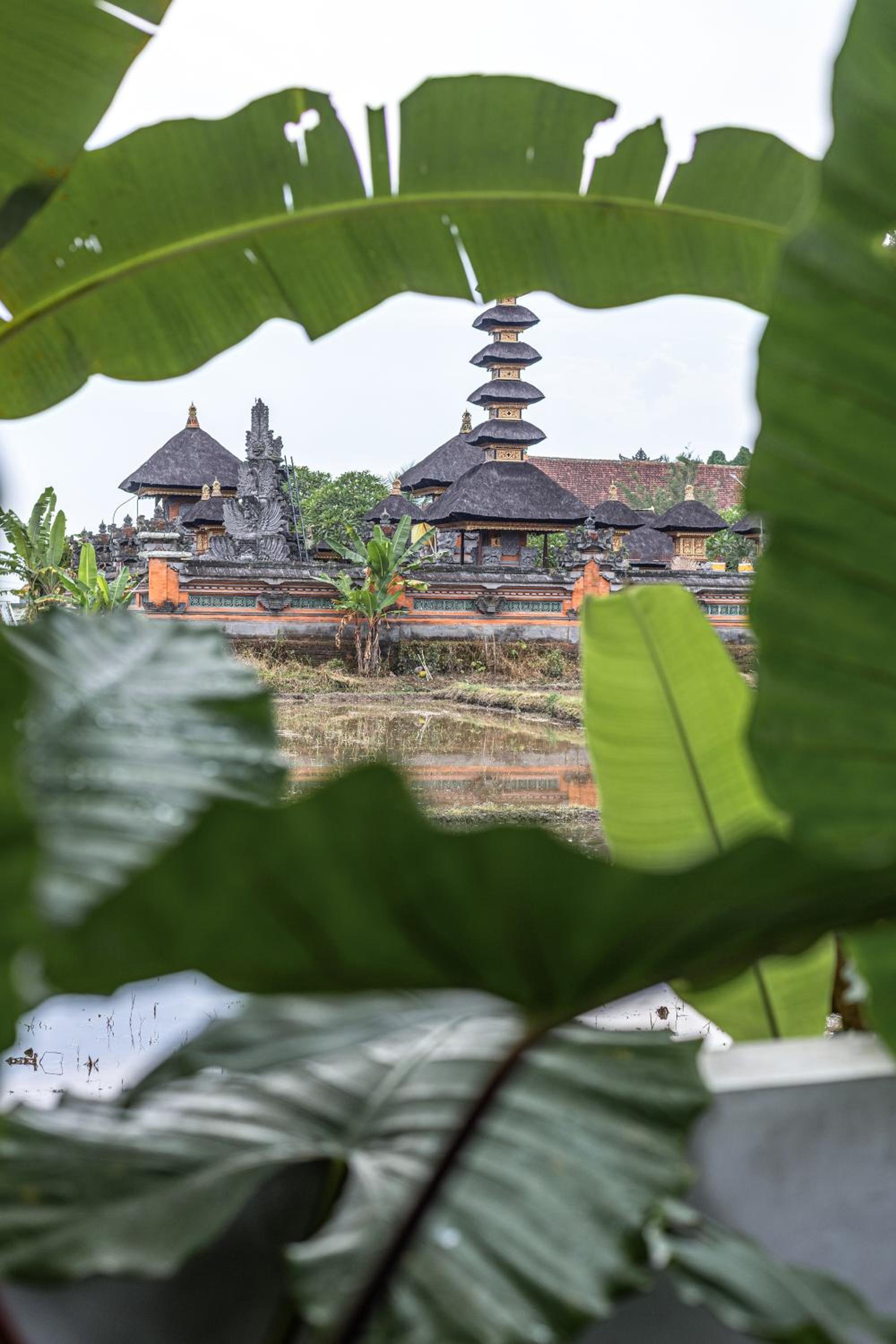 Niki Villa Ubud - Unique Rice Temple view byKAVIAN