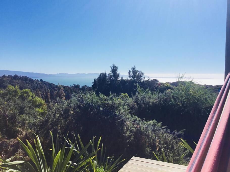 The 'Flax Pod' cabin in Pohara, amazing sea views