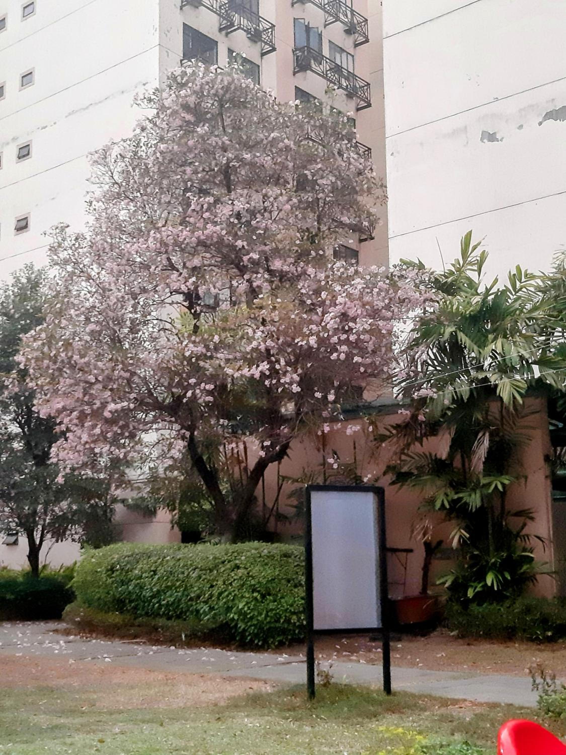 WNSuites