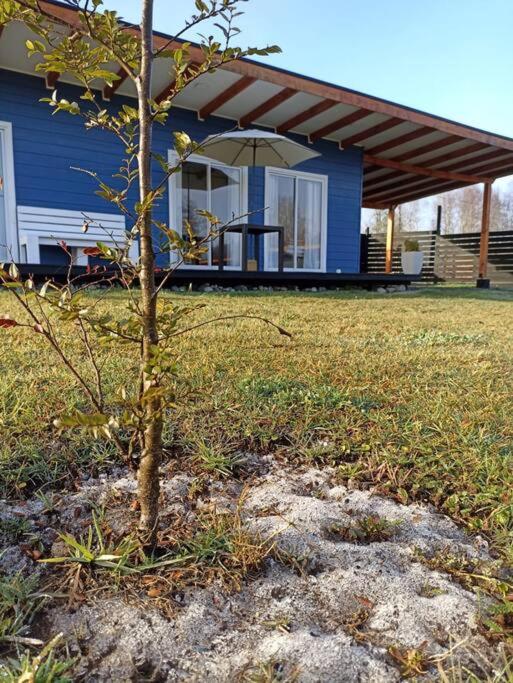 Lakustre Cabins - Acogedora cabaña de campo en Panguipulli