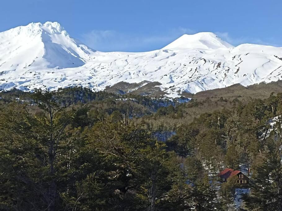 Lakustre Cabins - Acogedora cabaña de campo en Panguipulli