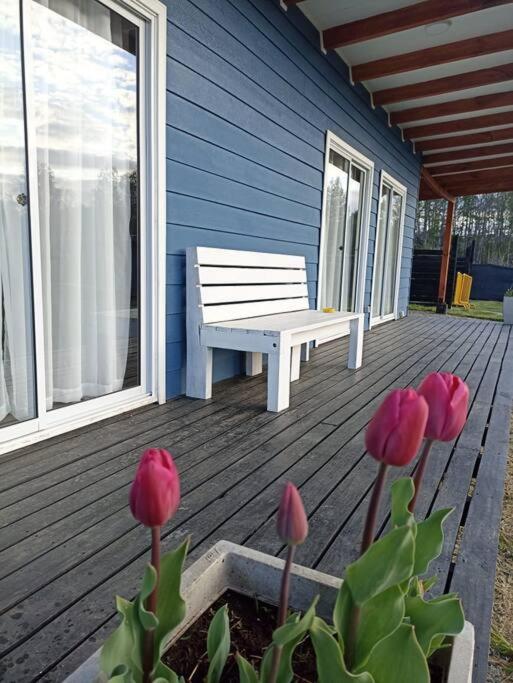 Lakustre Cabins - Acogedora cabaña de campo en Panguipulli