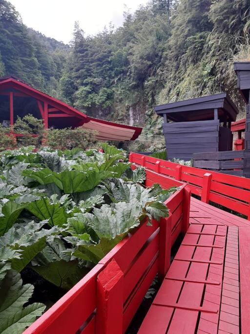 Lakustre Cabins - Acogedora cabaña de campo en Panguipulli
