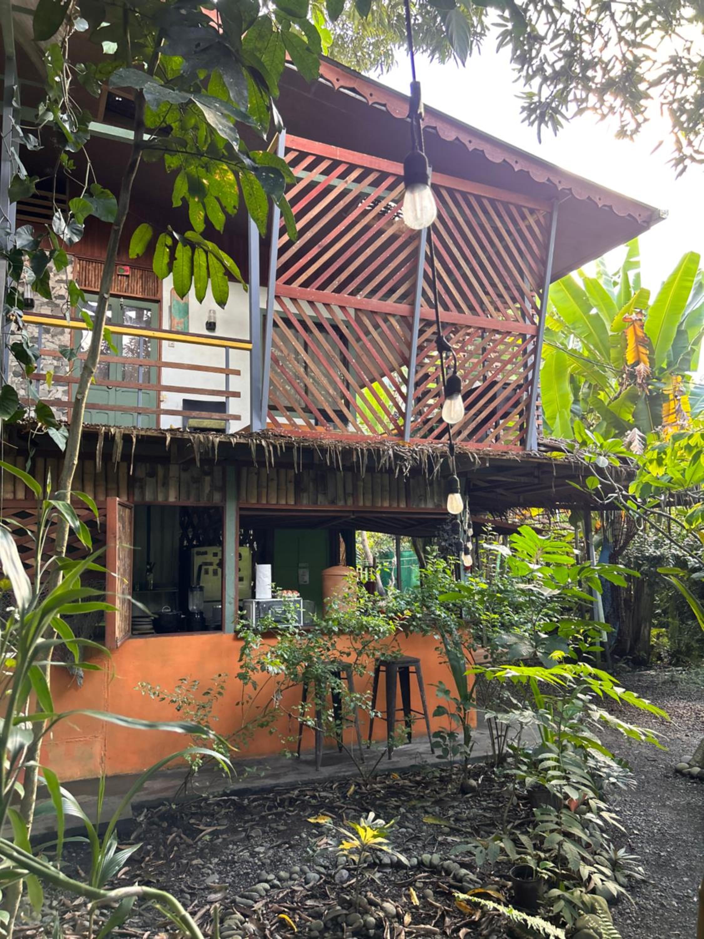 Orgánico Punta Riel