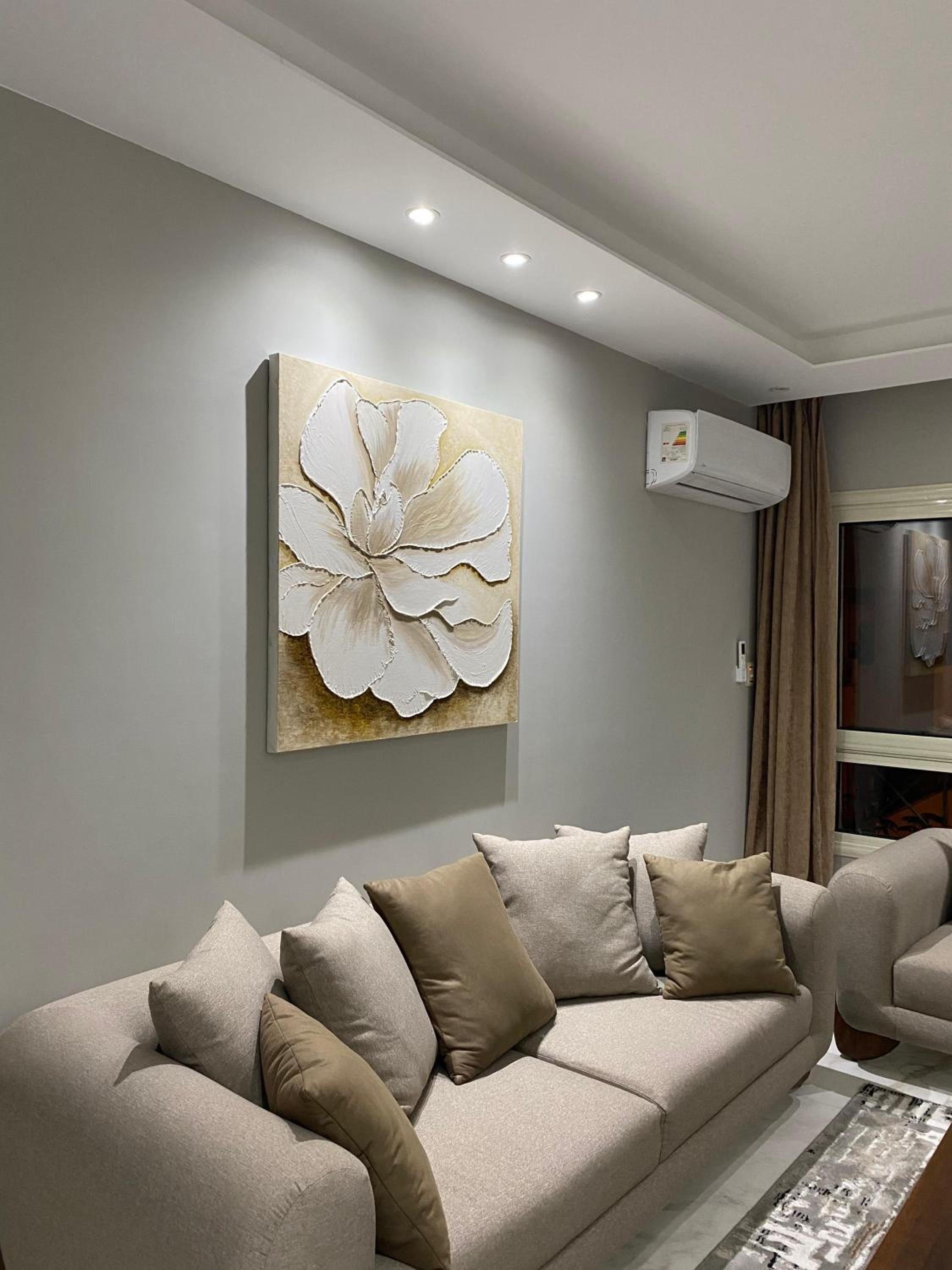 New cairo rehab haven