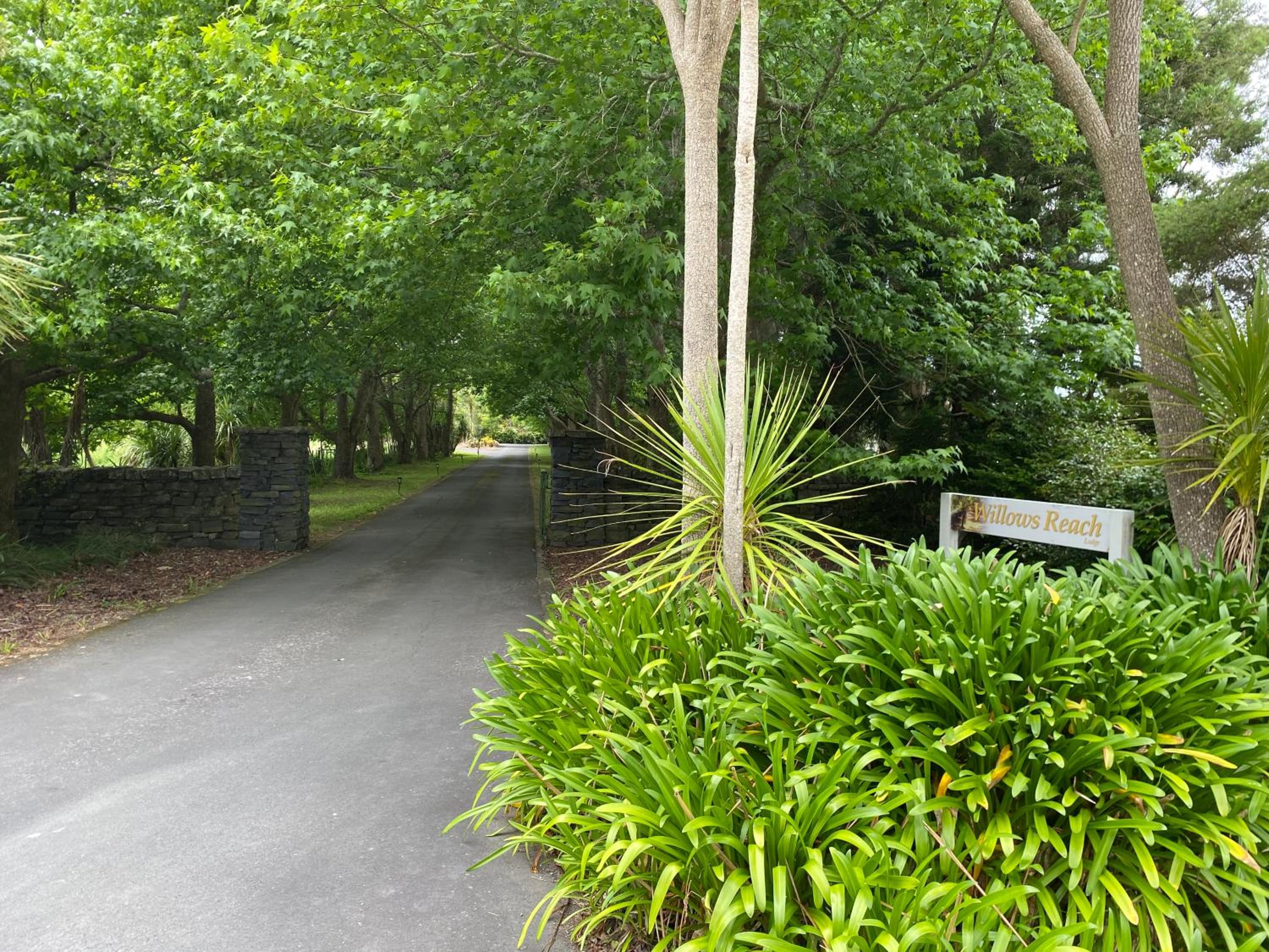 Willows Reach Lodge view 5
