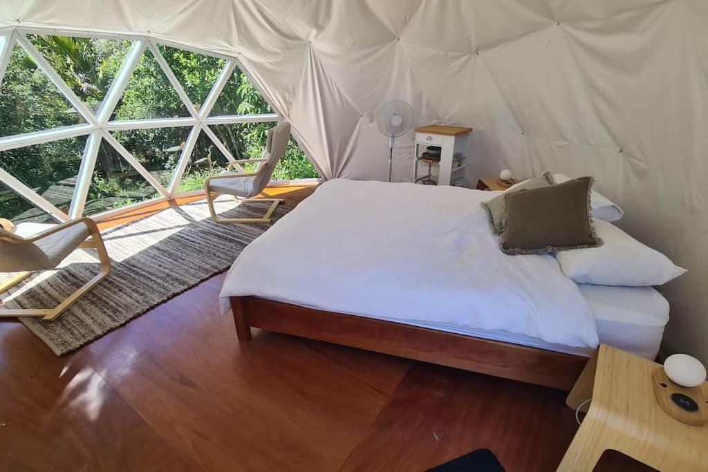The Geodesic Dome in Pohara Golden Bay