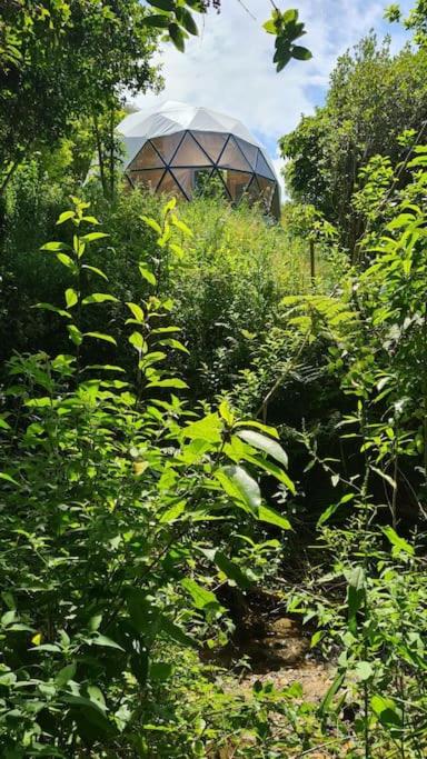 The Geodesic Dome in Pohara Golden Bay