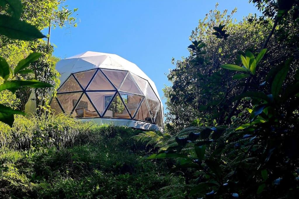 The Geodesic Dome in Pohara Golden Bay