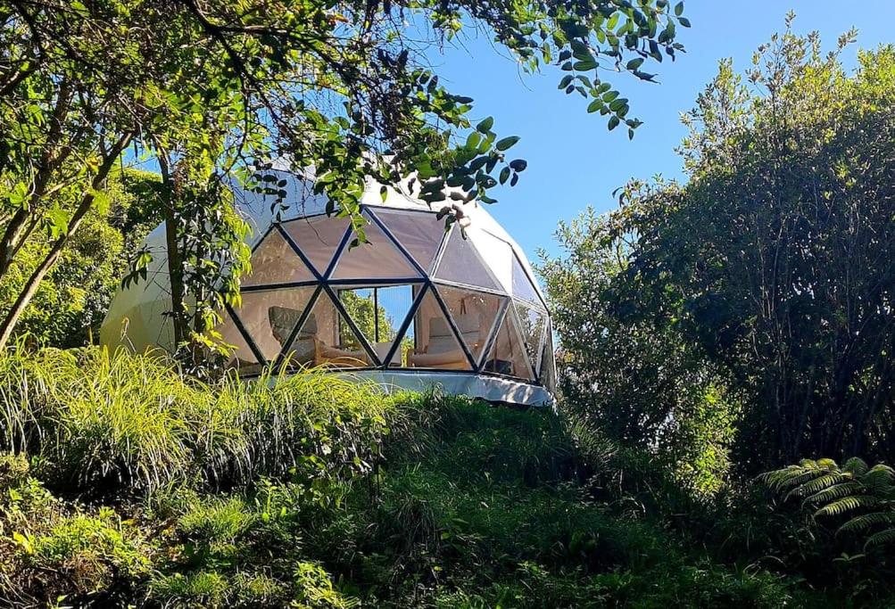 The Geodesic Dome in Pohara Golden Bay