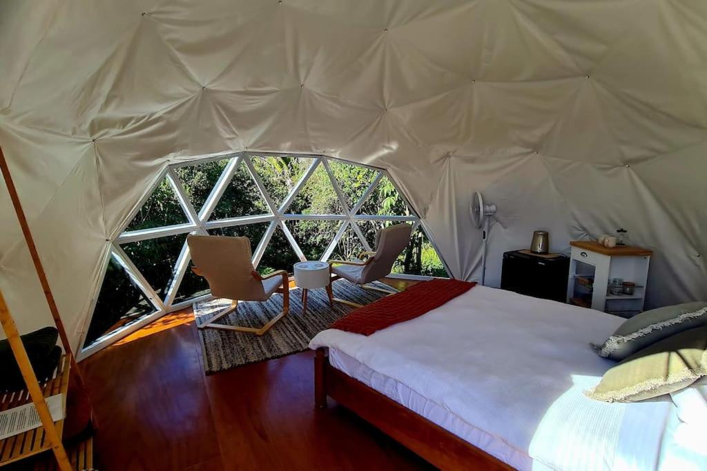 The Geodesic Dome in Pohara Golden Bay