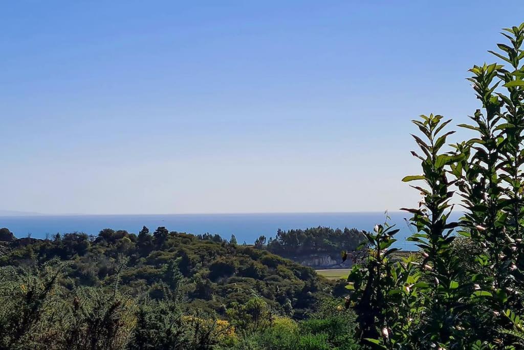 The Geodesic Dome in Pohara Golden Bay