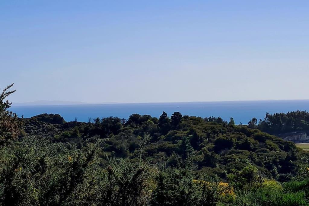 The Geodesic Dome in Pohara Golden Bay